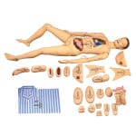 Nursing and Wound Care Manikin